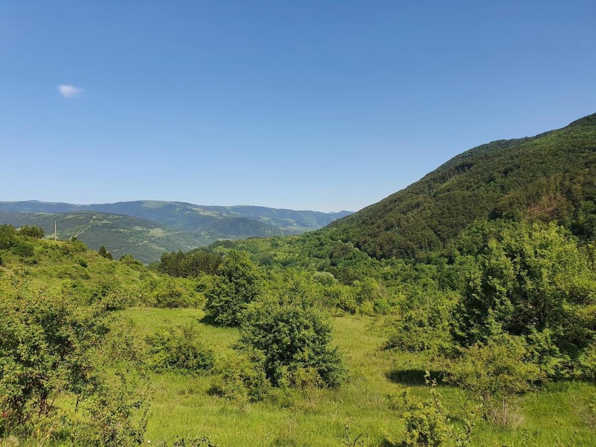 Penzion Zavojsko Jezero Pirot - Smestaj Manic Gostusa Exteriér fotografie