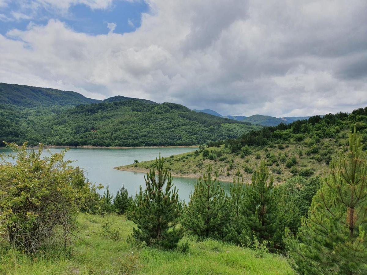 Penzion Zavojsko Jezero Pirot - Smestaj Manic Gostusa Exteriér fotografie