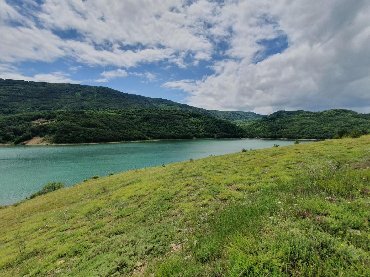 Penzion Zavojsko Jezero Pirot - Smestaj Manic Gostusa Exteriér fotografie