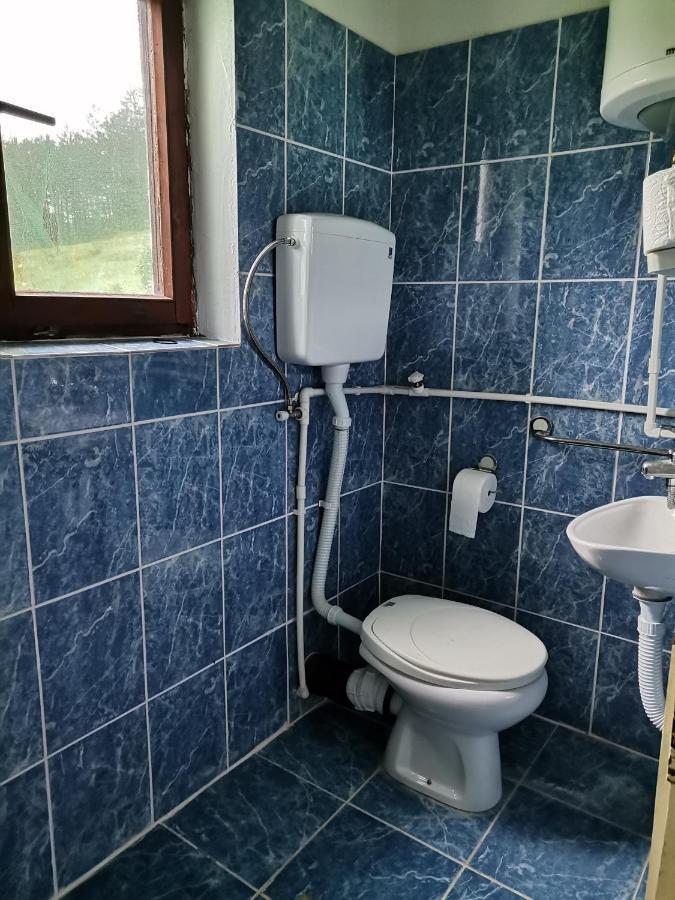 Penzion Zavojsko Jezero Pirot - Smestaj Manic Gostusa Exteriér fotografie