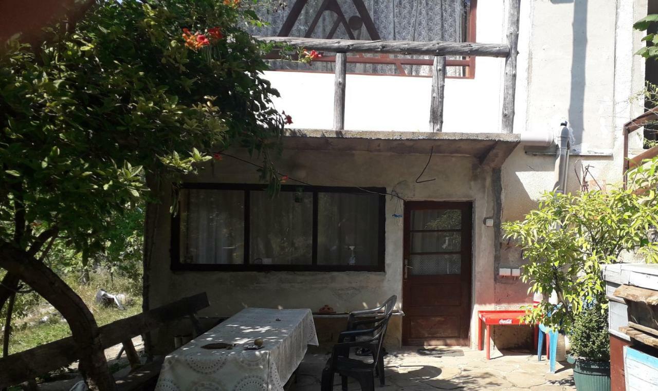 Penzion Zavojsko Jezero Pirot - Smestaj Manic Gostusa Exteriér fotografie